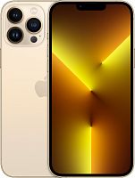Смартфон Apple A2643 iPhone 13 Pro Max 256Gb 6Gb золотой моноблок 3G 4G 2Sim 6.7" 1284x2778 iPhone iOS 15 12Mpix 802.11 a/b/g/n/ac/ax NFC GPS GSM900/1800 GSM1900 TouchSc Ptotect