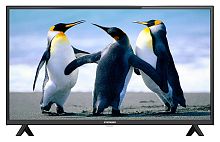 Телевизор LED Starwind 40" SW-LED40SB304 Яндекс.ТВ черный FULL HD 60Hz DVB-T DVB-T2 DVB-C DVB-S DVB-S2 USB WiFi Smart TV (RUS)