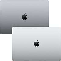 Ноутбук Apple MacBook Pro A2442 M1 Pro 10 core 16Gb SSD1Tb/16 core GPU 14.2" (3024x1964) Mac OS grey space WiFi BT Cam